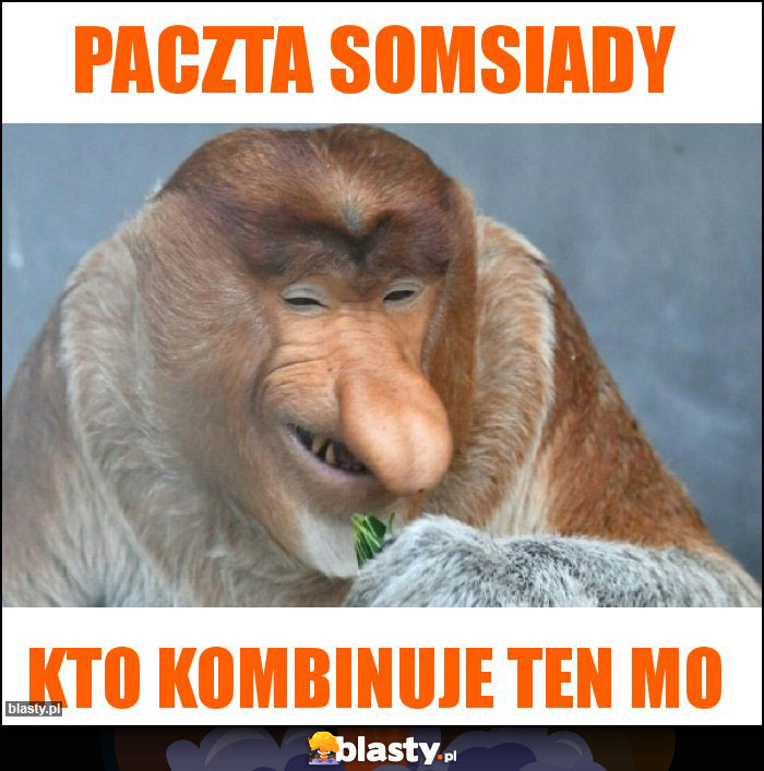 Paczta somsiady
