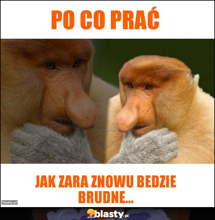 Po co prać