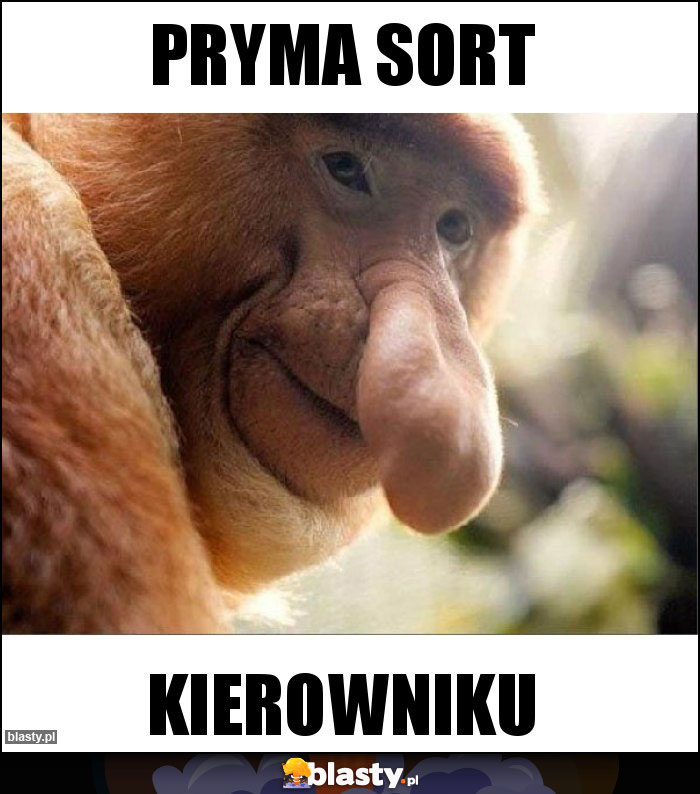 Pryma sort