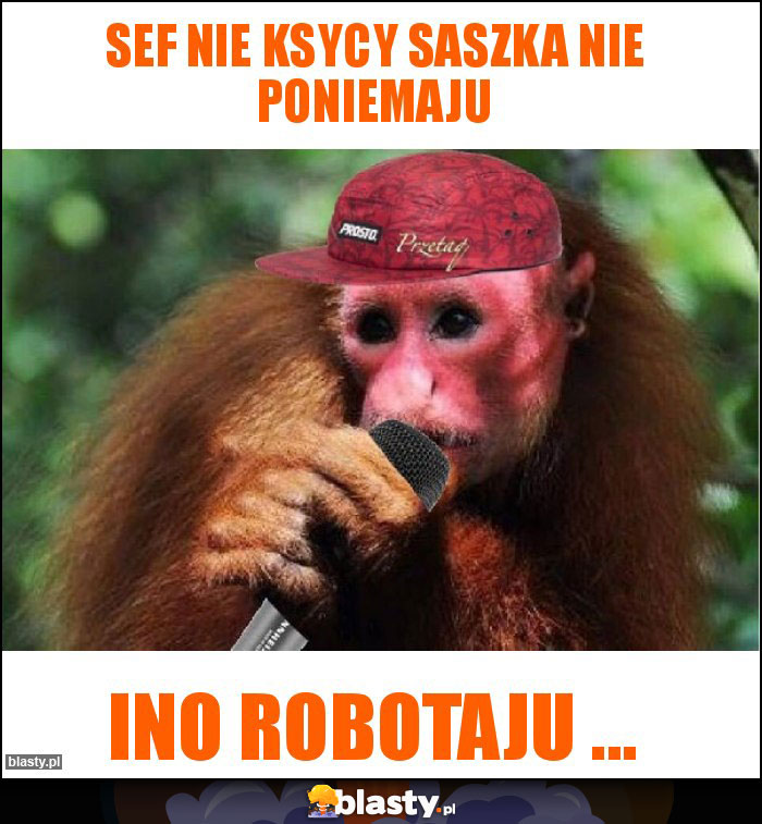Sef nie ksycy saszka nie poniemaju