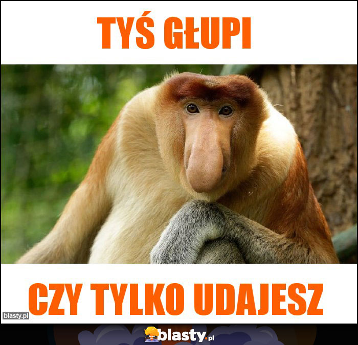 Tyś głupi