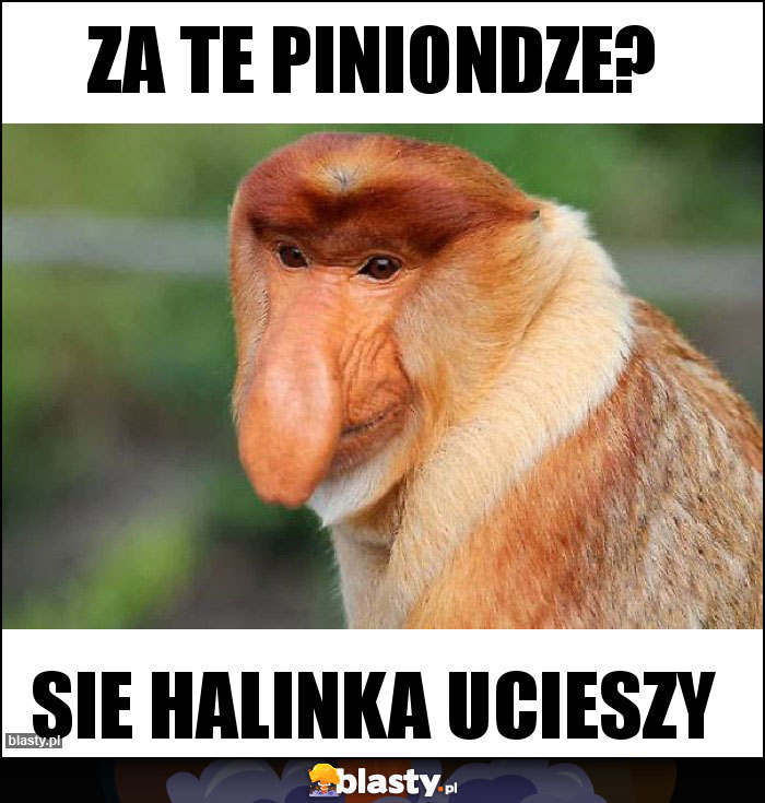 ZA TE PINIONDZE?