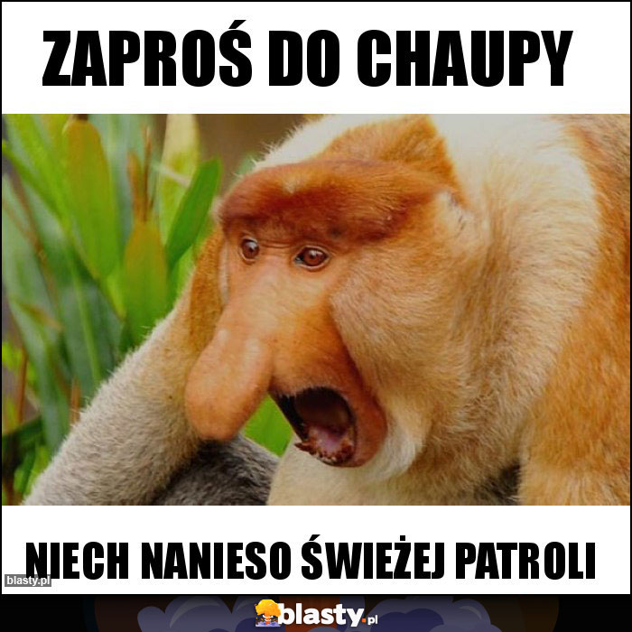 Zaproś do chaupy