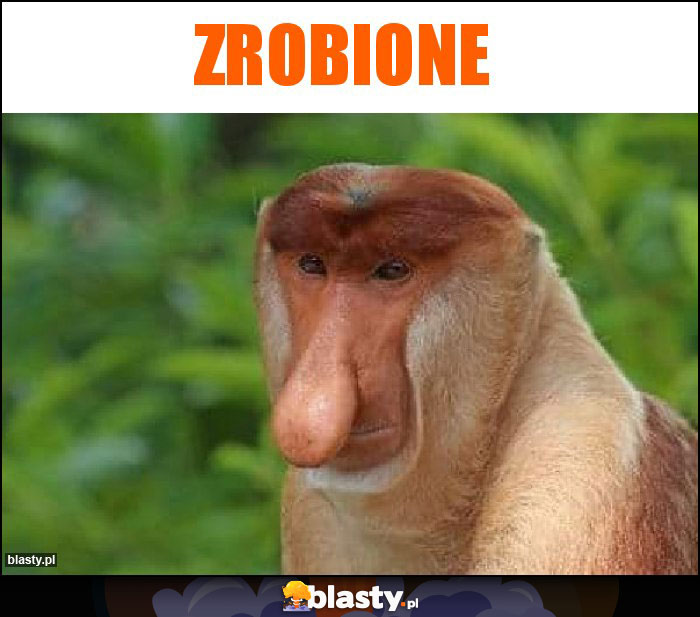 ZROBIONE