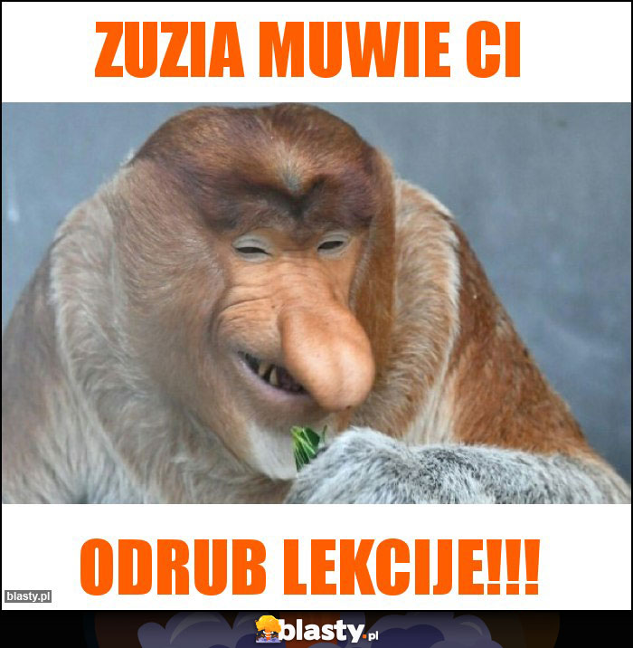 Zuzia muwie ci