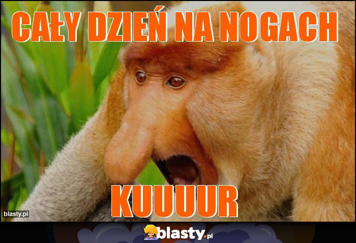 Cały dzień na nogach