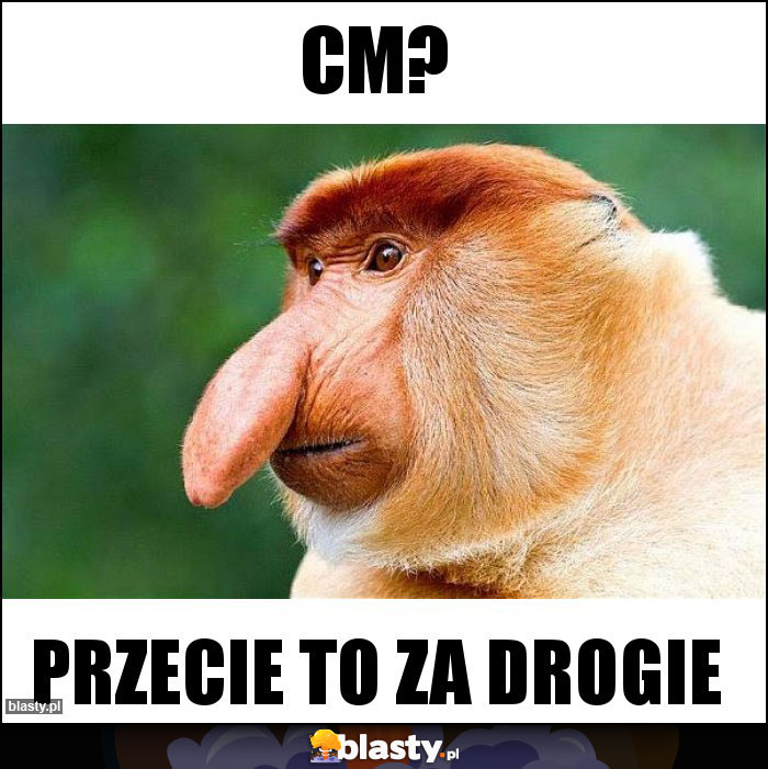 CM?