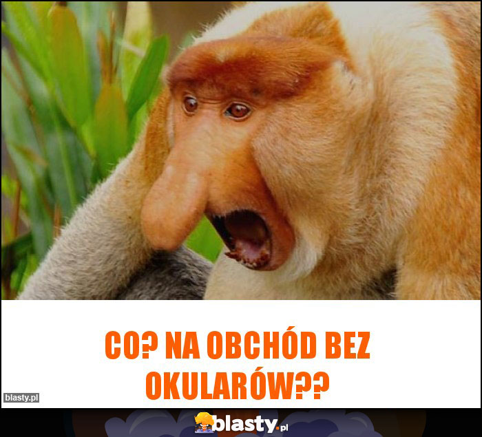 Co? Na obchód bez okularów??