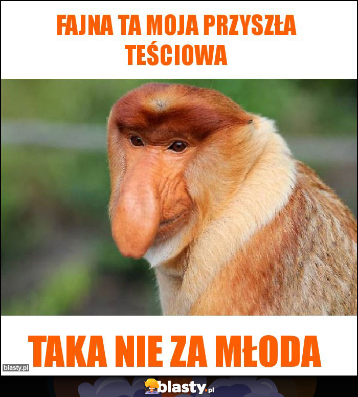 FAJNA TA MOJA PRZYSZŁA TEŚCIOWA