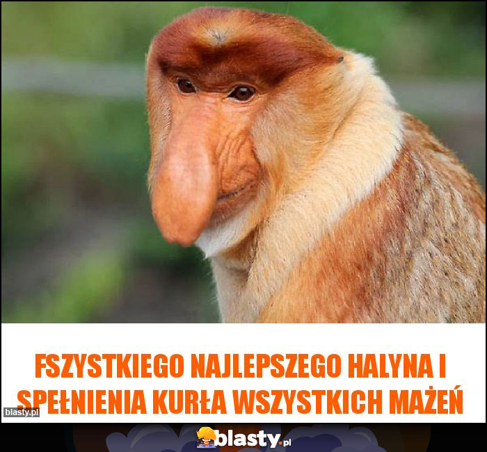 Fszystkiego najlepszego Halyna i spełnienia kurła wszystkich mażeń