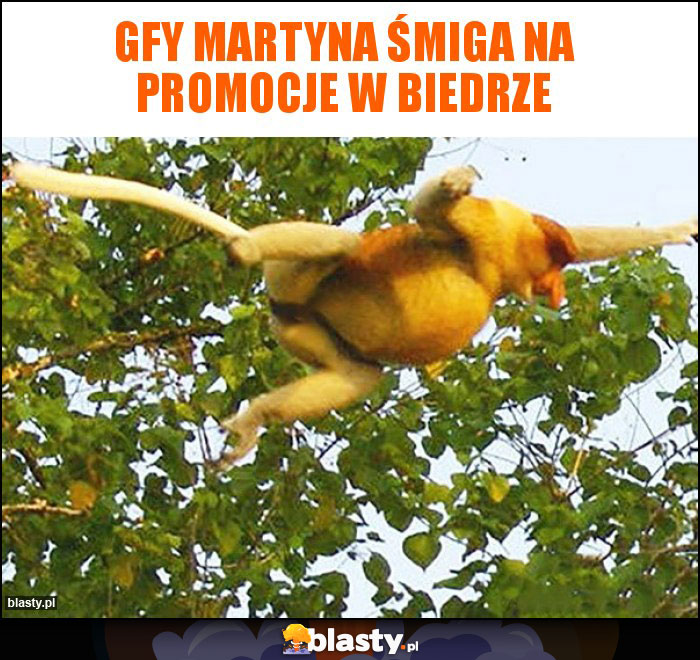 Gfy Martyna śmiga na promocje w biedrze