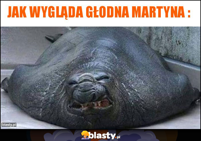 Jak wygląda głodna Martyna :