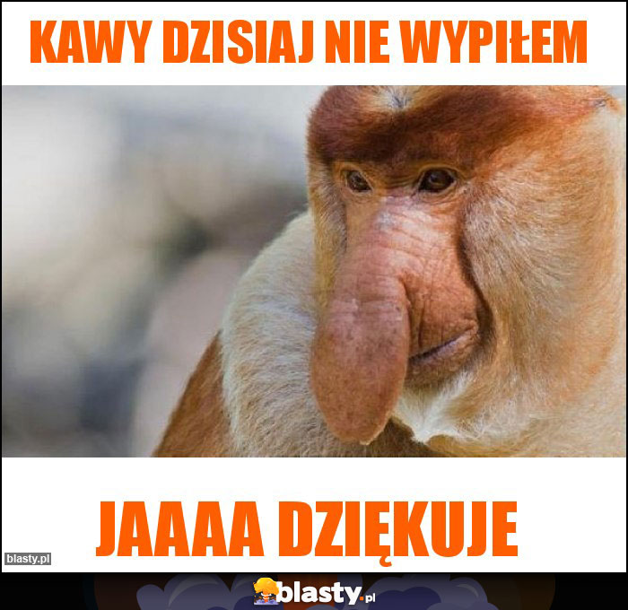 Kawy dzisiaj nie wypiłem
