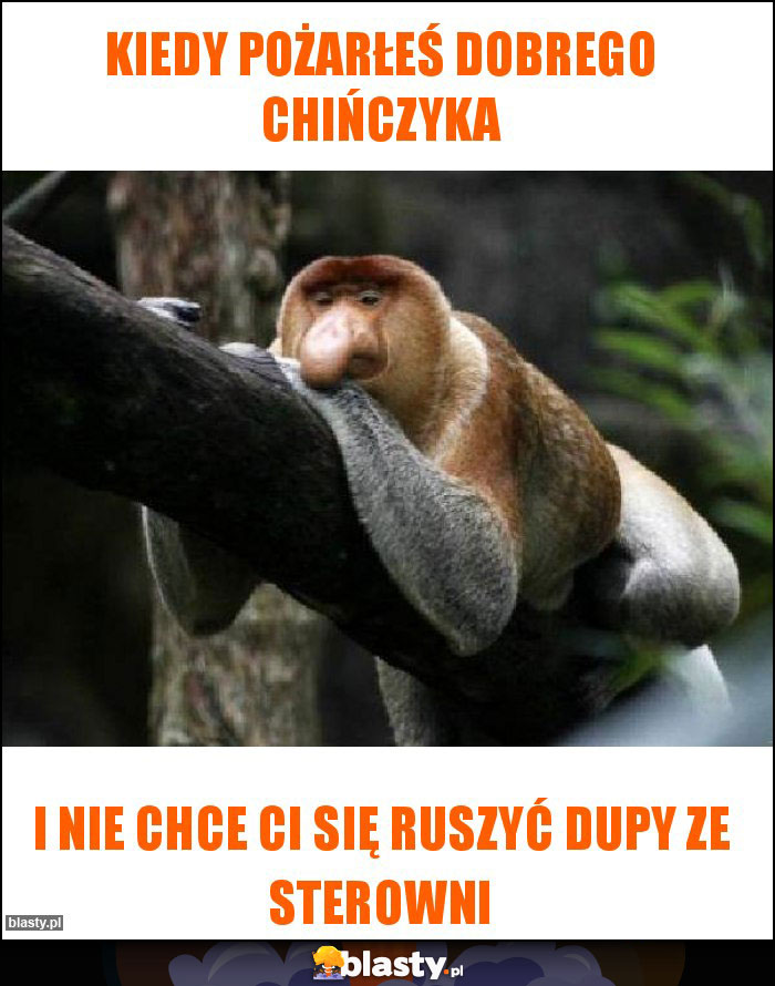 Kiedy pożarłeś dobrego chińczyka