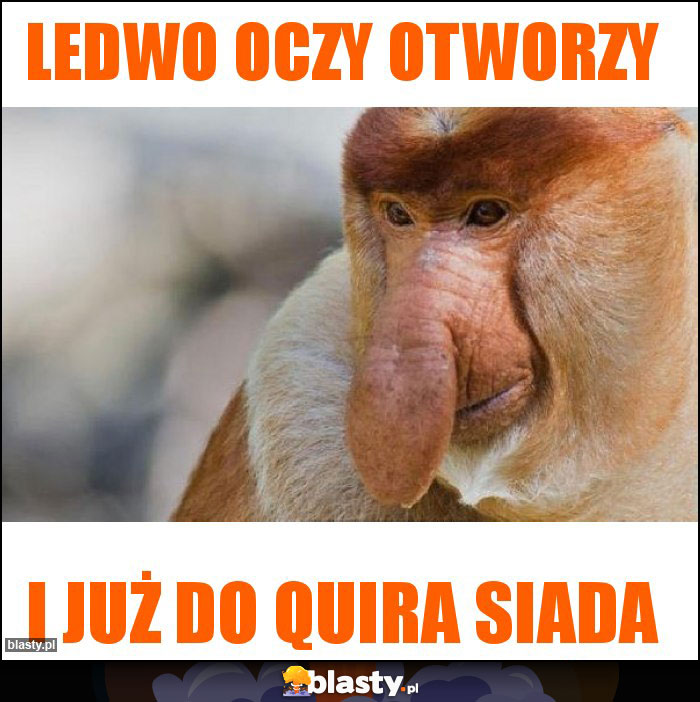 LEDWO OCZY OTWORZY