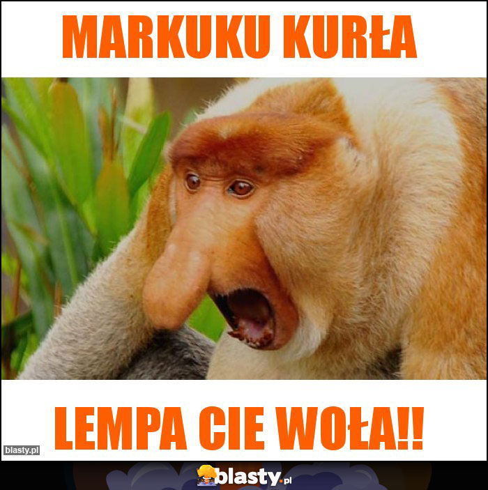 MARKUKU KURŁA
