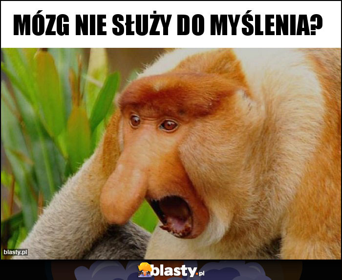 MÓZG NIE SŁUŻY DO MYŚLENIA?
