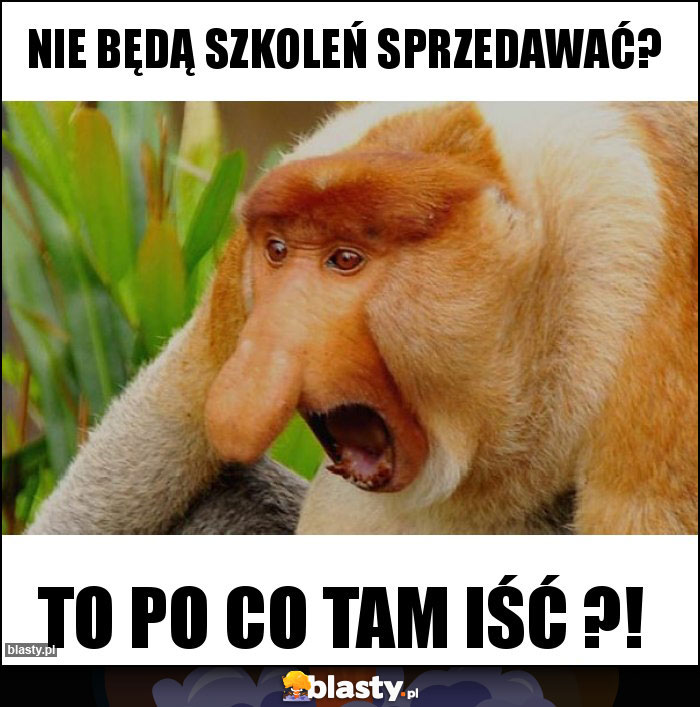 Nie będą szkoleń sprzedawać?