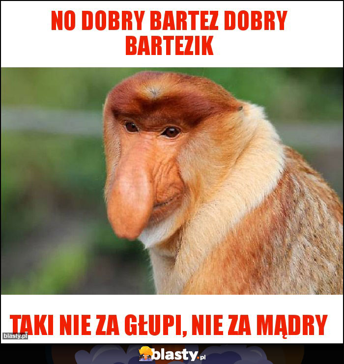 No dobry bartez dobry bartezik