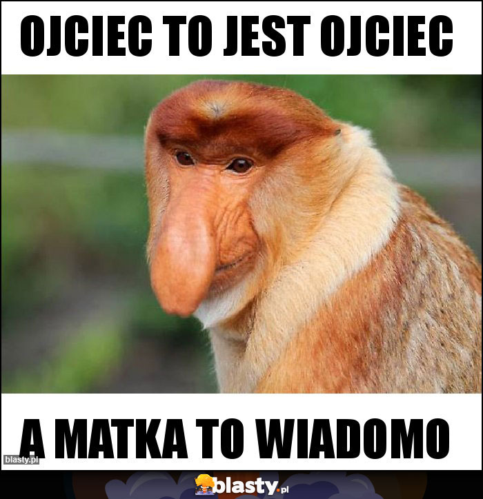 OJCIEC TO JEST OJCIEC