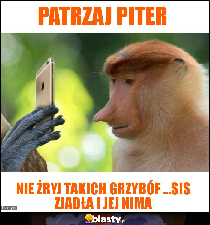 PATRZAJ PITER