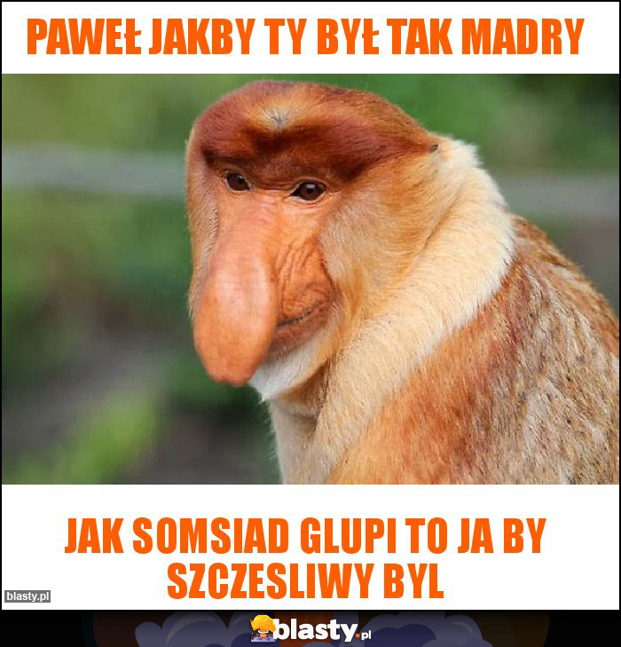 Paweł jakby ty był tak madry