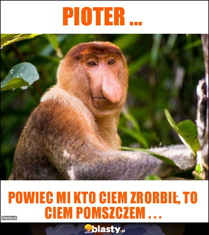 PIOTER ...