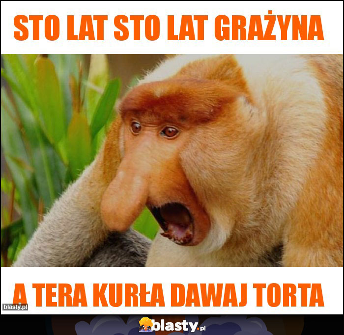 STO LAT STO LAT GRAŻYNA