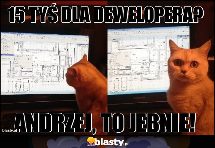 15 tyś dla dewelopera?