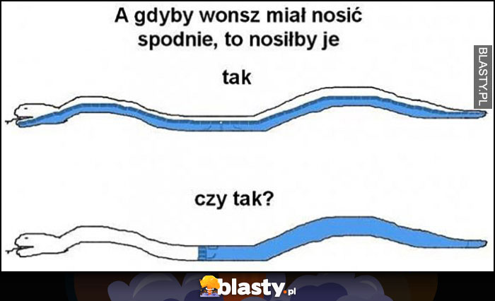 A gdyby wonsz wąż miał nosić spodnie to nosiłby je tak czy tak