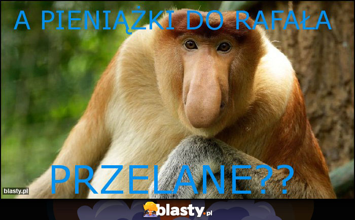 A pieniążki do Rafała