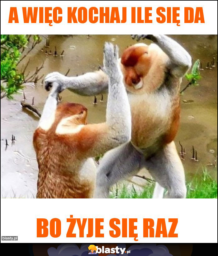 A więc kochaj ile się da