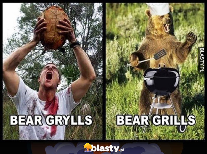 Bear Grylls vs Bear Grills niedźwiedź robi grilla