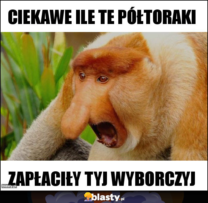 Ciekawe ile te półtoraki