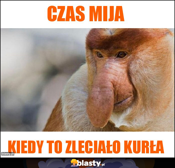 Czas mija