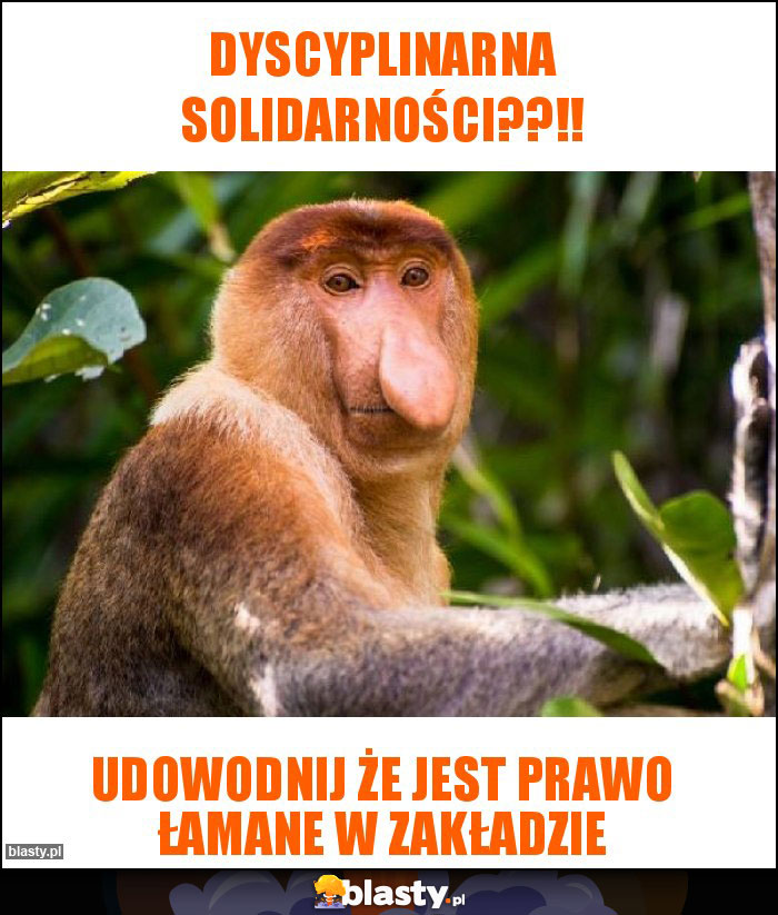 Dyscyplinarna Solidarności??!!