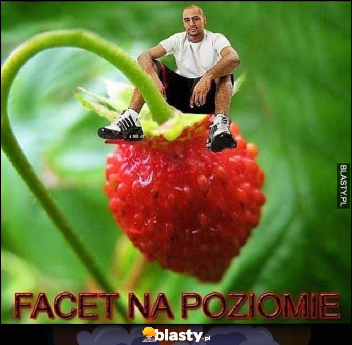 Facet na poziomie siedzi na poziomce