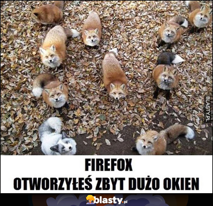 Firefox otworzyłeś zbyt dużo okien lisy