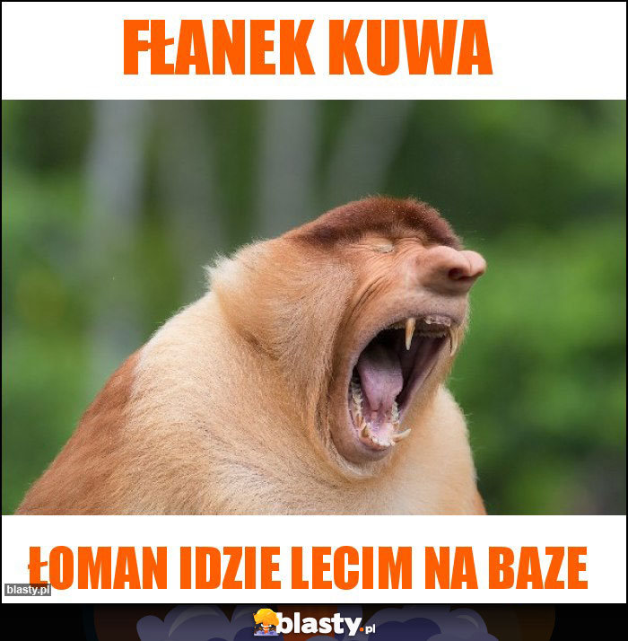 Fłanek Kuwa