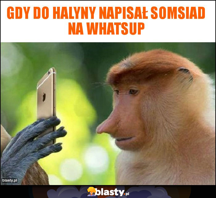 Gdy do Halyny napisał somsiad na whatsup