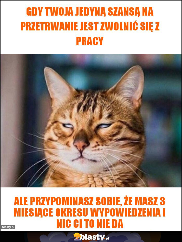 Gdy twoja jedyną szansą na przetrwanie jest zwolnić się z pracy