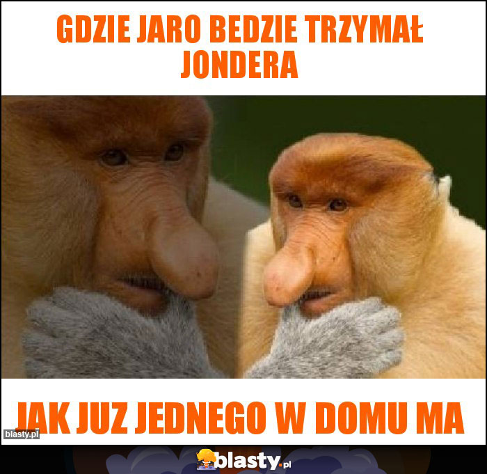 gdzie jaro bedzie trzymał jondera
