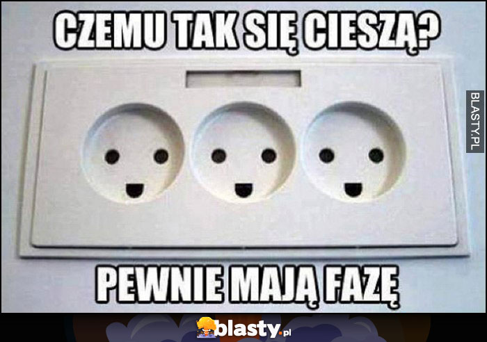 Gniazdka kontakty czemu tak się cieszą? Pewnie mają fazę