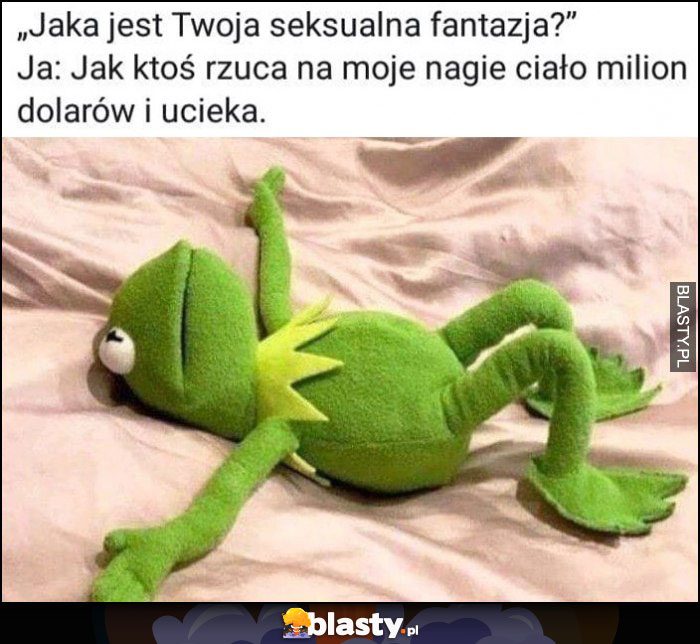 Jaka jest Twoja fantazja. Jak ktoś rzuca na moje ciało milion dolarów i ucieka Kermit