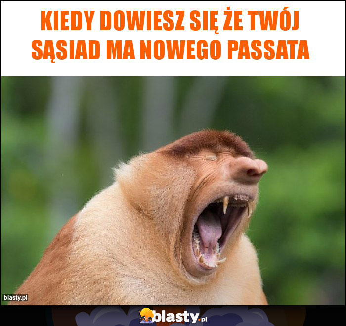 Kiedy dowiesz się że twój sąsiad ma nowego passata