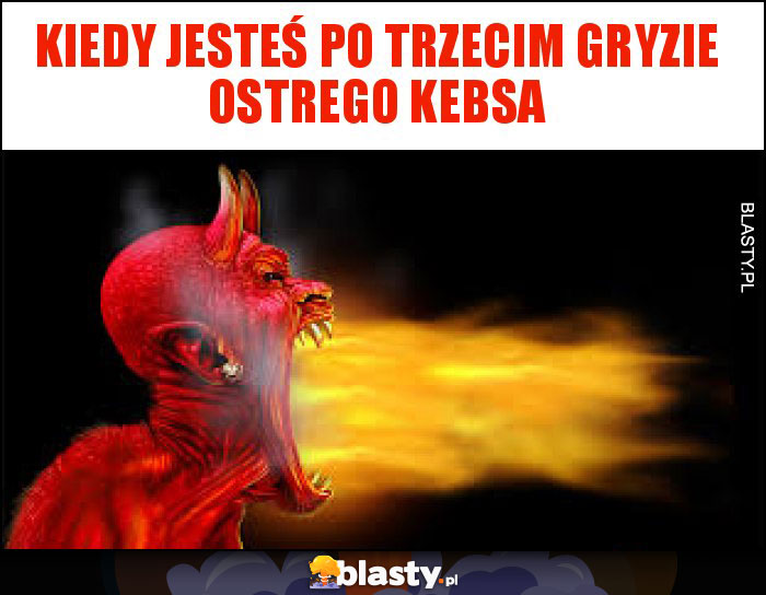 Kiedy jesteś po trzecim gryzie ostrego kebsa