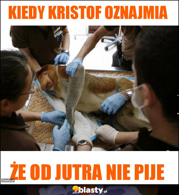 Kiedy Kristof oznajmia