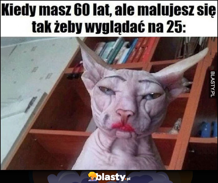 Kiedy masz 60 lat, ale malujesz się tak żeby wyglądać na 25 umalowany kot