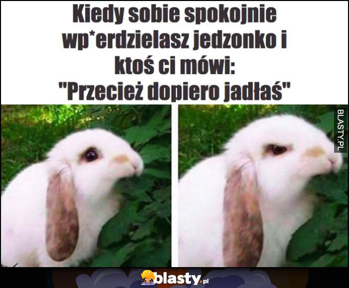 Kiedy sobie spokojnie jesz jedzonko i ktoś Ci mówi przecież dopiero jadłaś