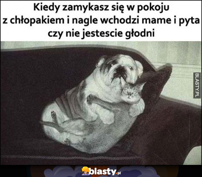 Kiedy zamykasz się w pokoju z chłopakiem i nagle wchodzi mame i pyta czy nie jesteście głodni kot z psem